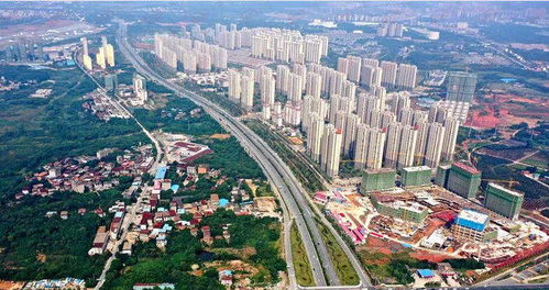 新品入市 下半年南昌有21項目即將入市 南昌縣 望月湖或迎爆發