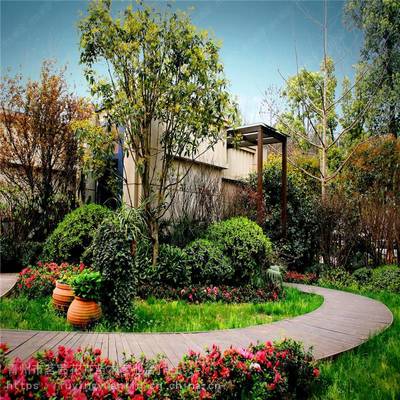 庭院綠化設(shè)計(jì)與施工指南 結(jié)合風(fēng)水理念的山東園林實(shí)踐