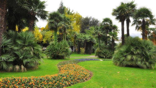 園林景觀設計 施工圖紙知識全面解析與綠化工程實踐要點