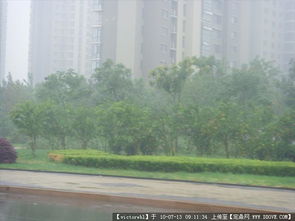 園林景觀工程設(shè)計(jì)、施工與資料應(yīng)用全解析